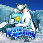 Arctic Wonders